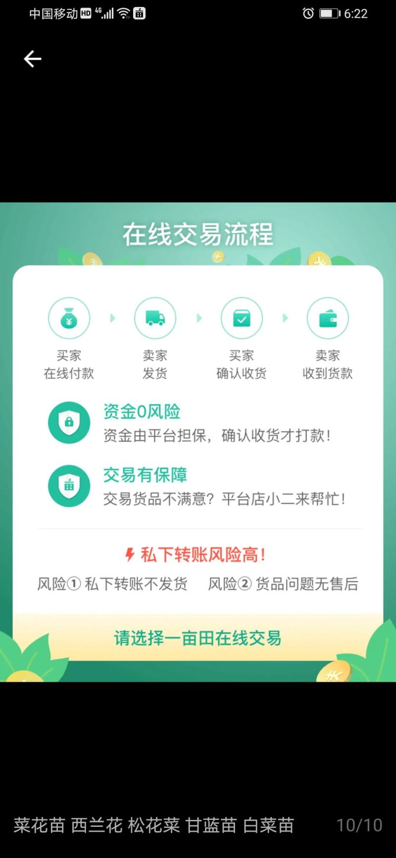 花生番茄种子超甜小西红柿种籽特色樱桃番茄圣女果超