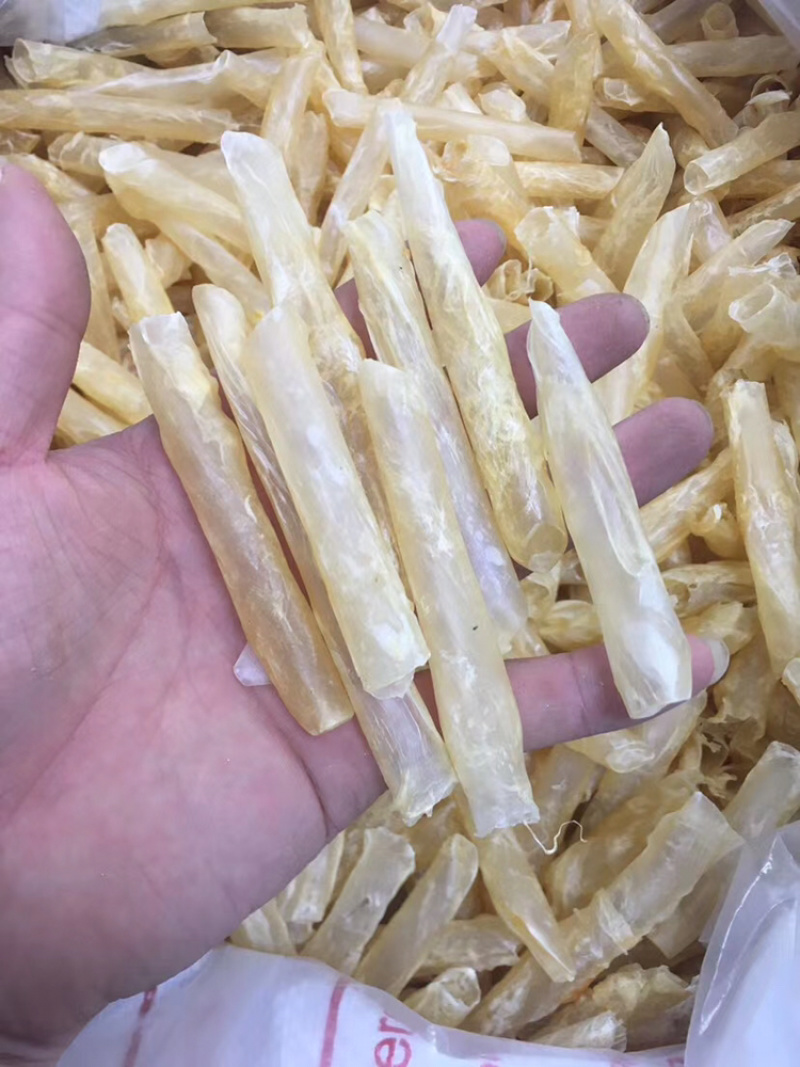 花胶咸水黄花胶200头/斤足干A货