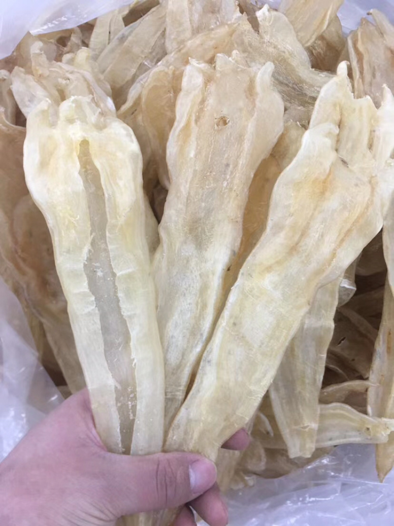花胶/阴阳肚胶清水足干10头/12头