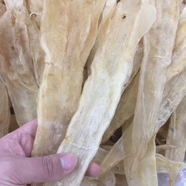 花胶/阴阳肚胶清水足干10头/12头