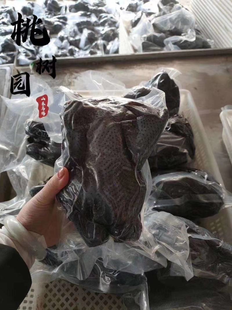 辽宁东港纯野生跑山乌鸡肉质鲜嫩口感非常好