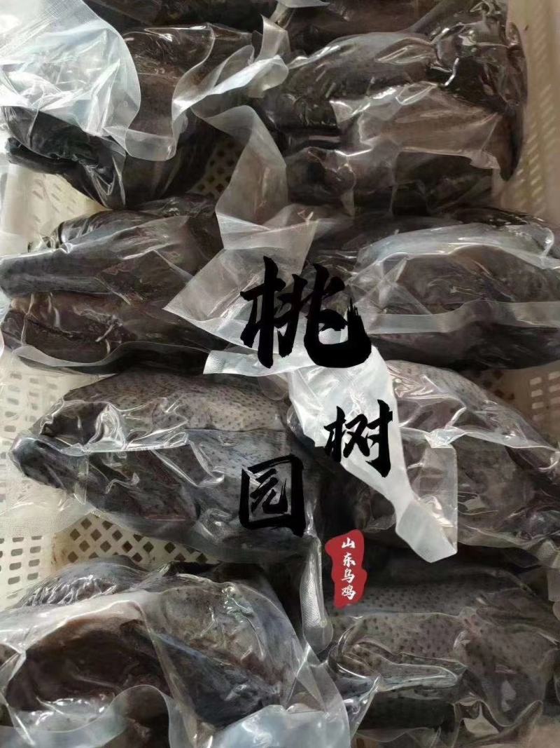 辽宁东港纯野生跑山乌鸡肉质鲜嫩口感非常好