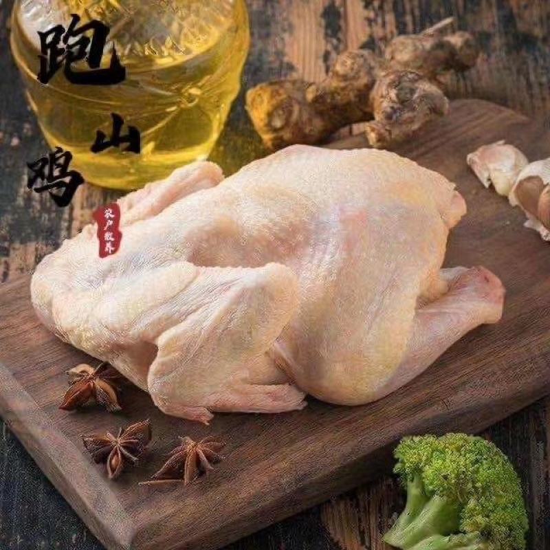 辽宁东港纯野生跑山乌鸡肉质鲜嫩口感非常好