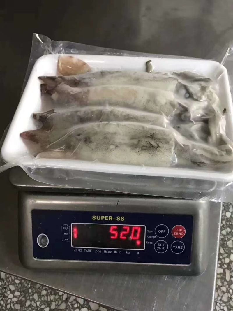 辽宁东港新鲜加工的大鱿鱼