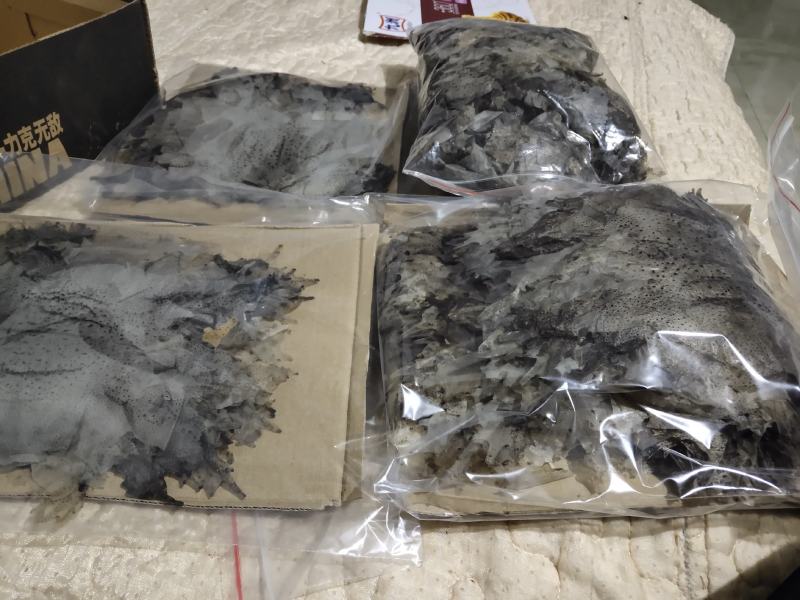 药用干蟾蜍及蟾衣价格实惠