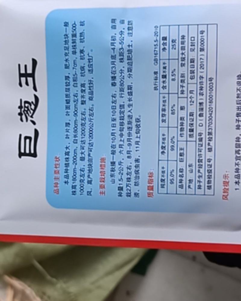 章丘大葱，巨葱王，巨葱，大葱种子