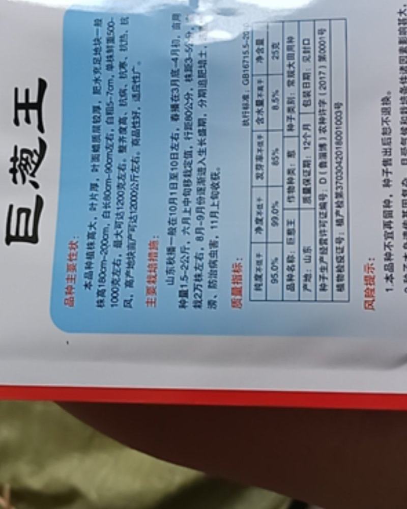 章丘大葱，巨葱王，巨葱，大葱种子