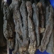 肉苁蓉大芸硬大芸软大芸一手货源