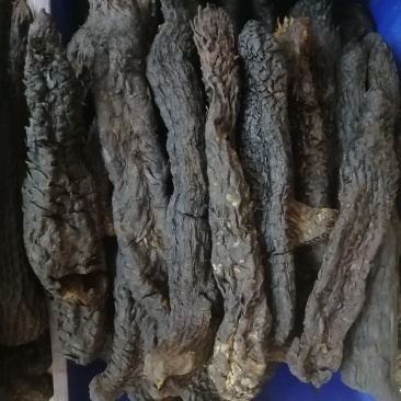 肉苁蓉大芸硬大芸软大芸一手货源