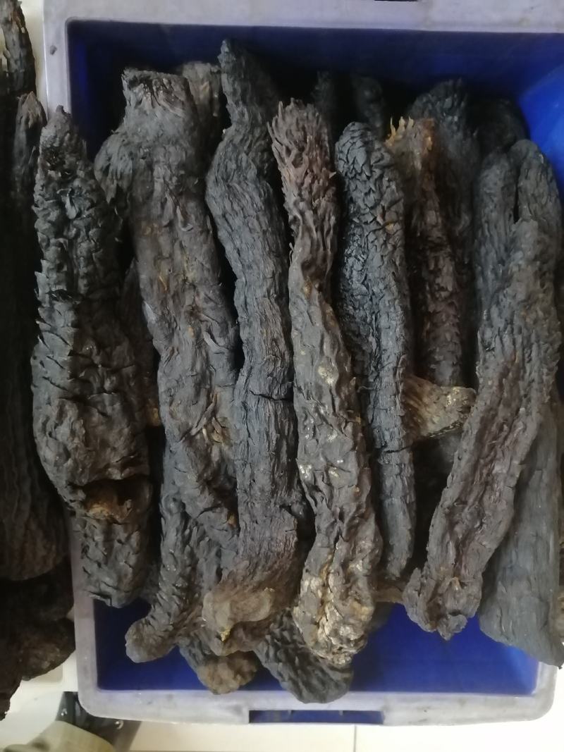 肉苁蓉大芸硬大芸软大芸一手货源
