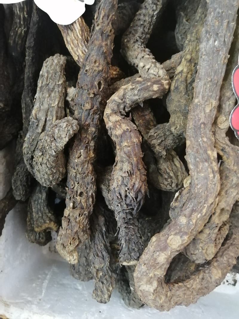 肉苁蓉大芸硬大芸软大芸一手货源