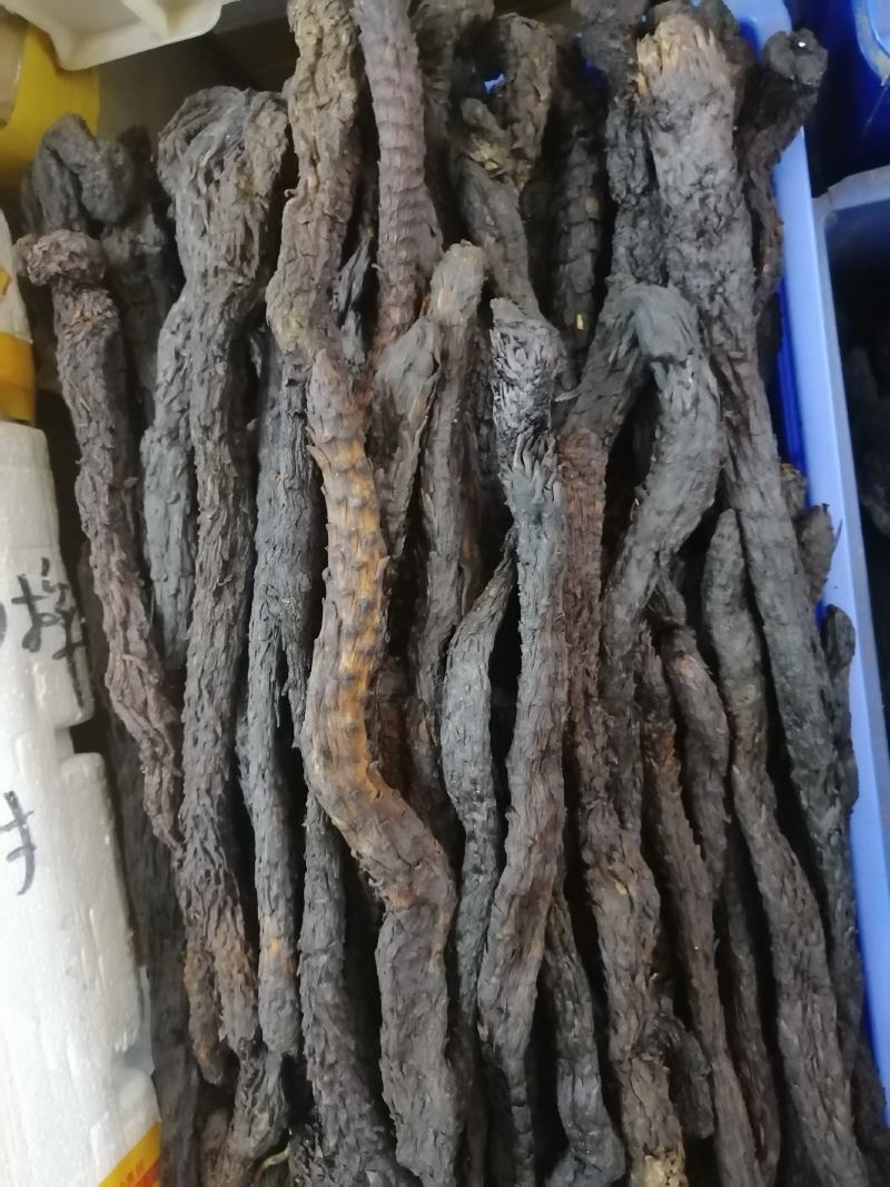 肉苁蓉大芸硬大芸软大芸一手货源