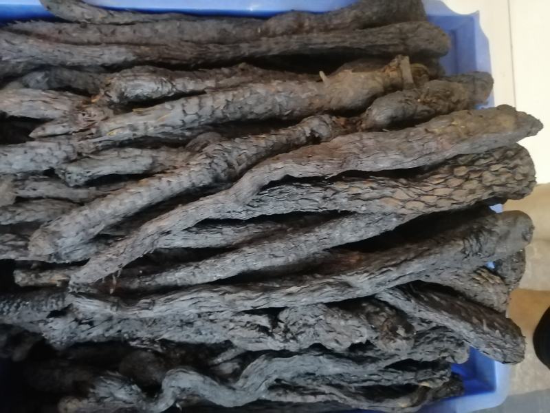 肉苁蓉大芸硬大芸软大芸一手货源