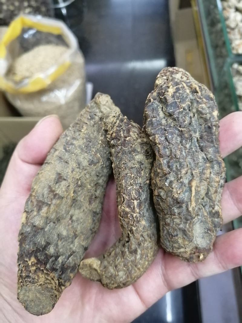 肉苁蓉大芸硬大芸软大芸一手货源