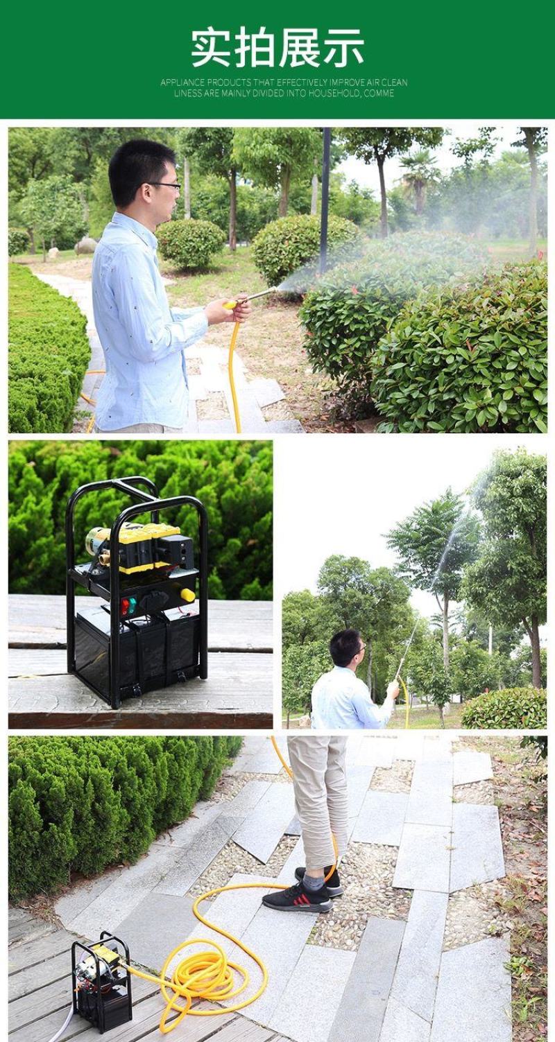 喷雾器电动农用打药机水泵便携式打药泵高压抽水机浇菜浇花