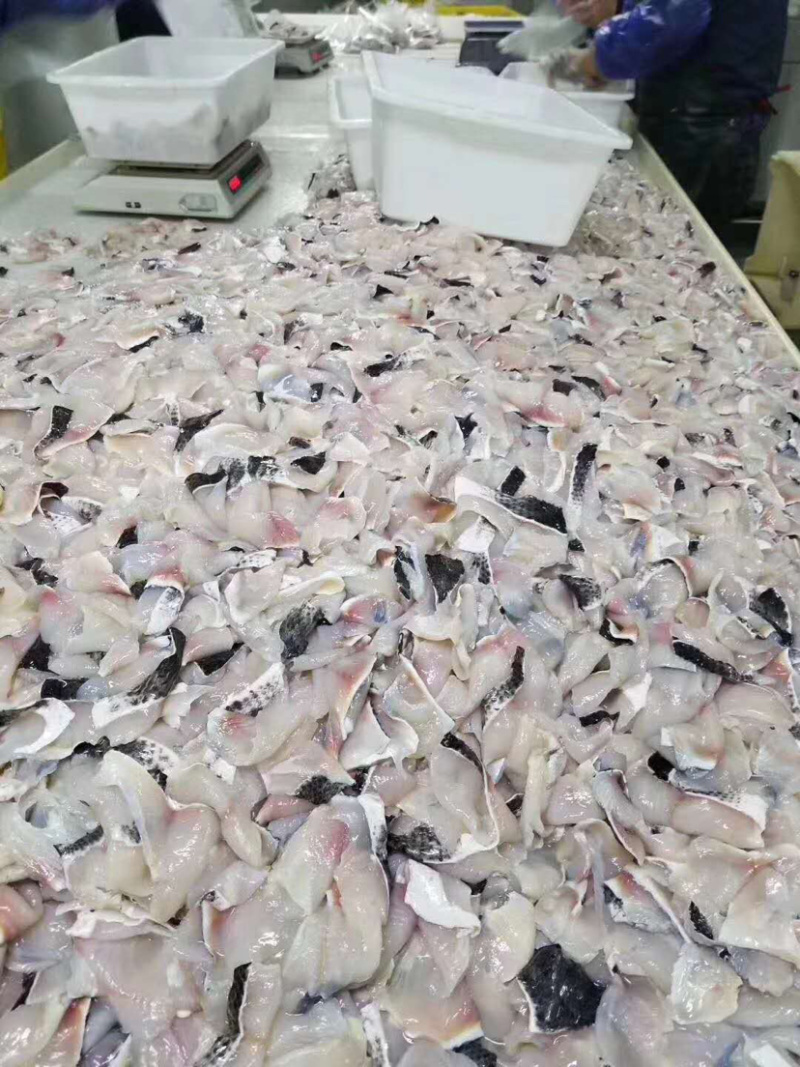 活鱼现杀，免浆黑鱼片