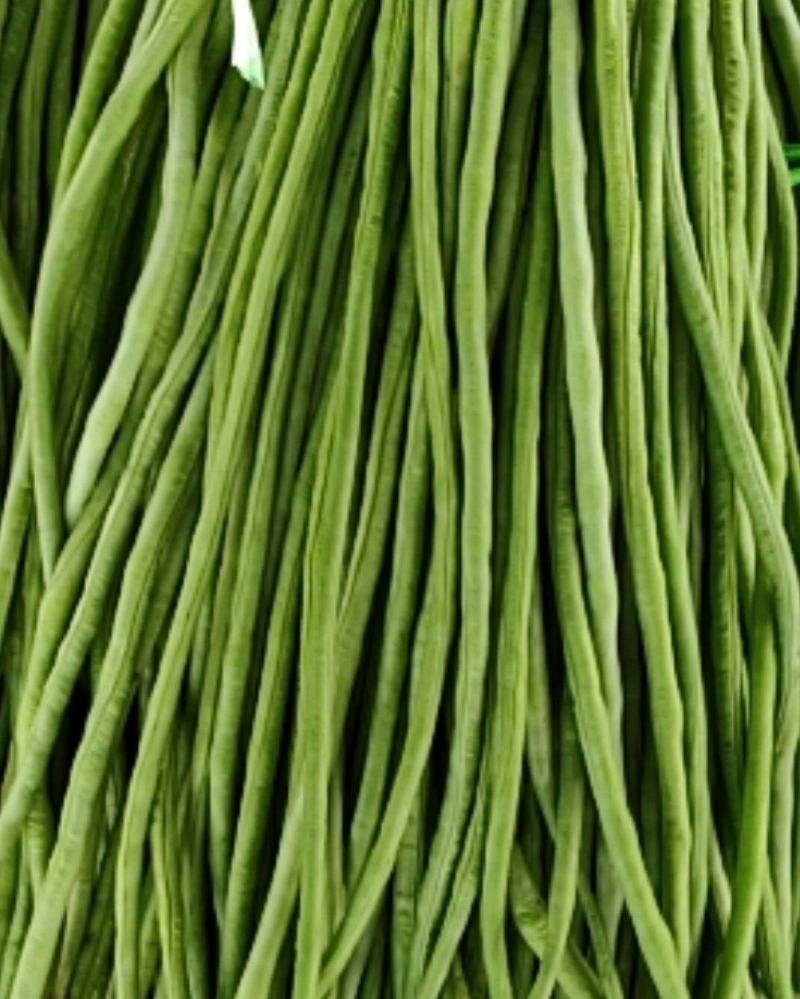 河南精品豆角，绿豆角，长豆角，代发全国商超视频看货