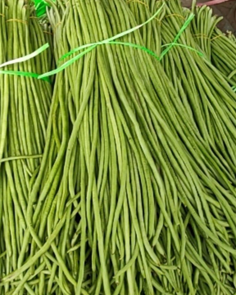 河南精品豆角，绿豆角，长豆角，代发全国商超视频看货
