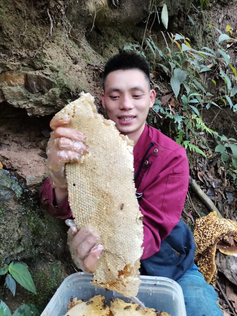 深山老林里的纯野蜂蜜