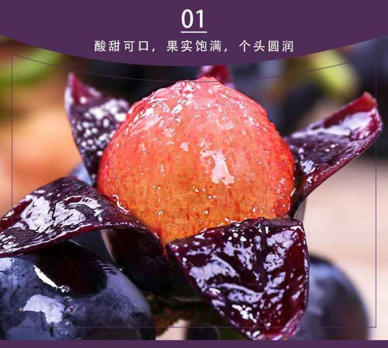 安徽热销夏黑葡萄无籽葡萄基地种植新鲜采摘