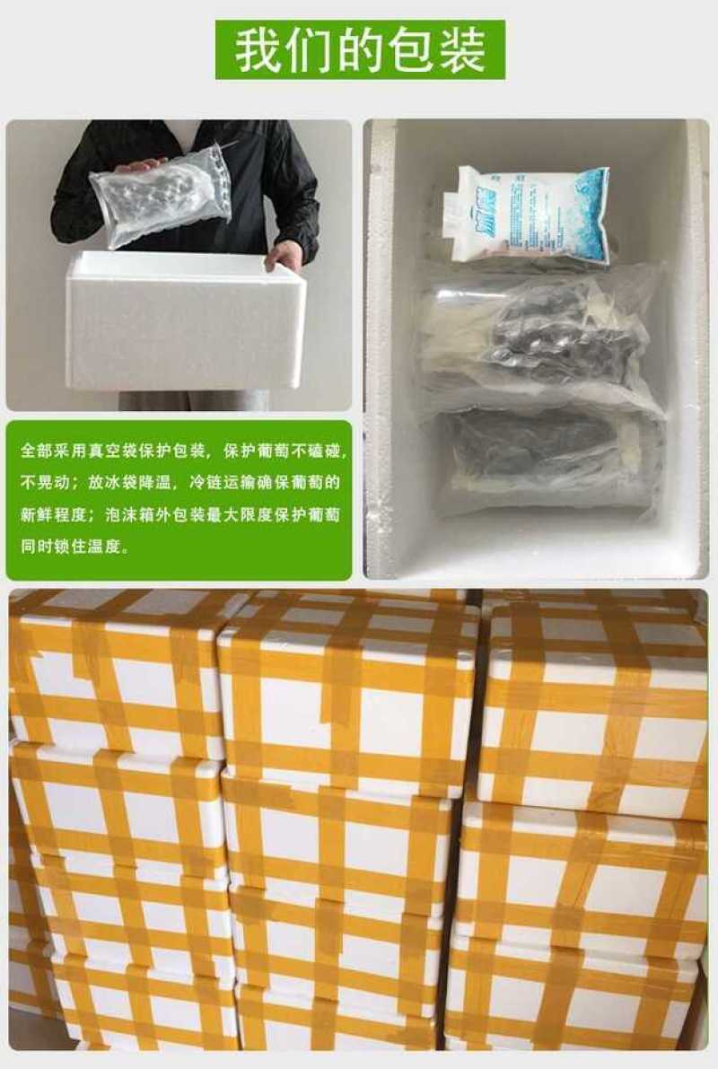 安徽热销夏黑葡萄无籽葡萄基地种植新鲜采摘