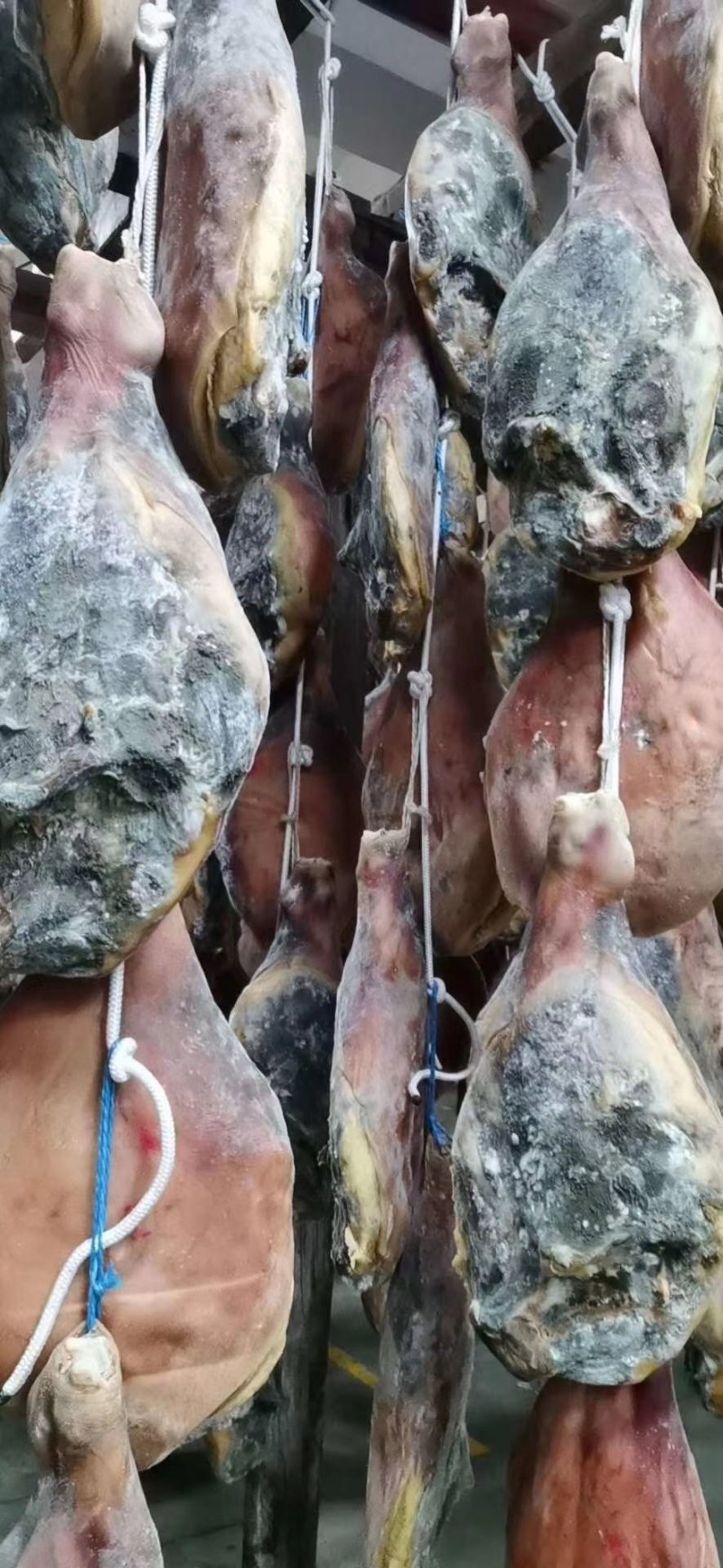 地摊暴利产品跑江湖热卖货源云南火腿厂家一手货源
