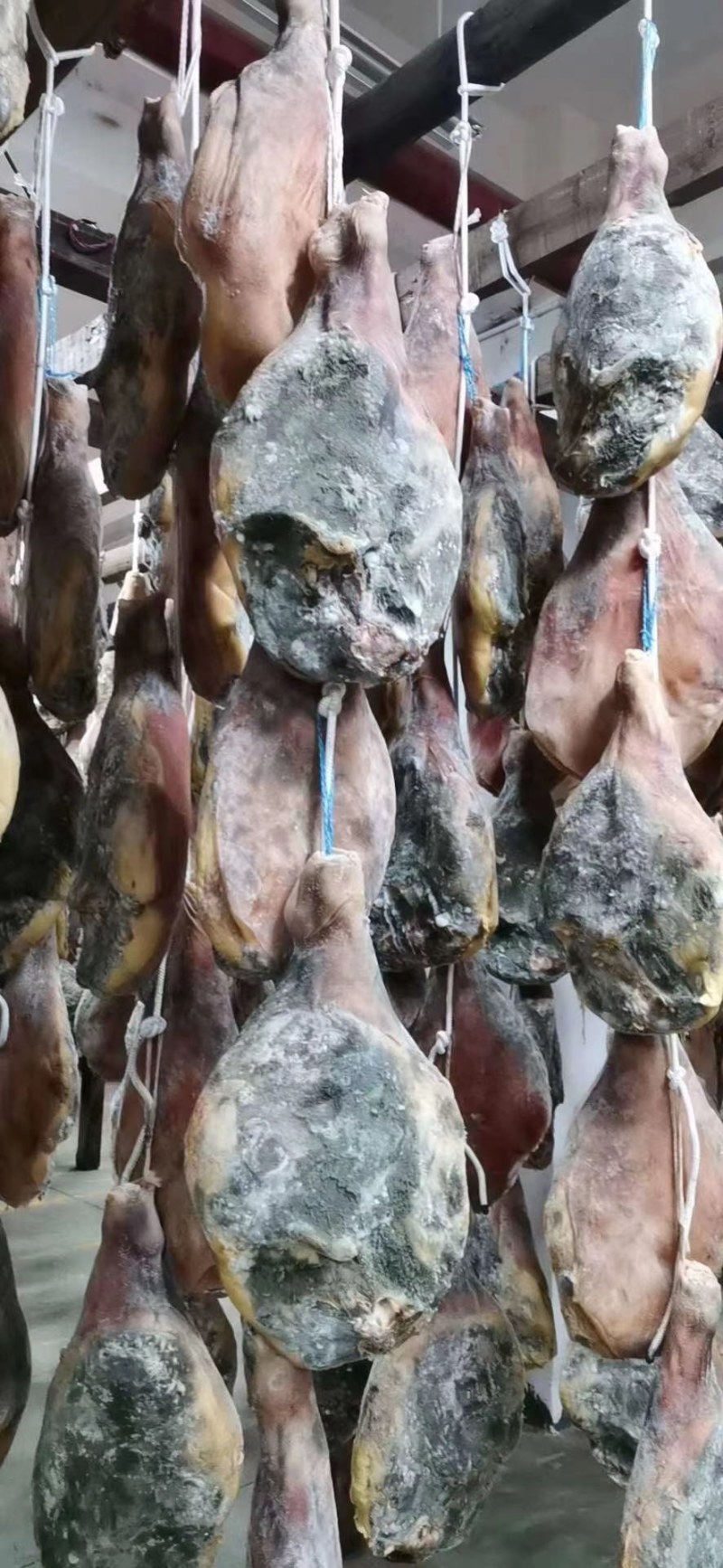 地摊暴利产品跑江湖热卖货源云南火腿厂家一手货源