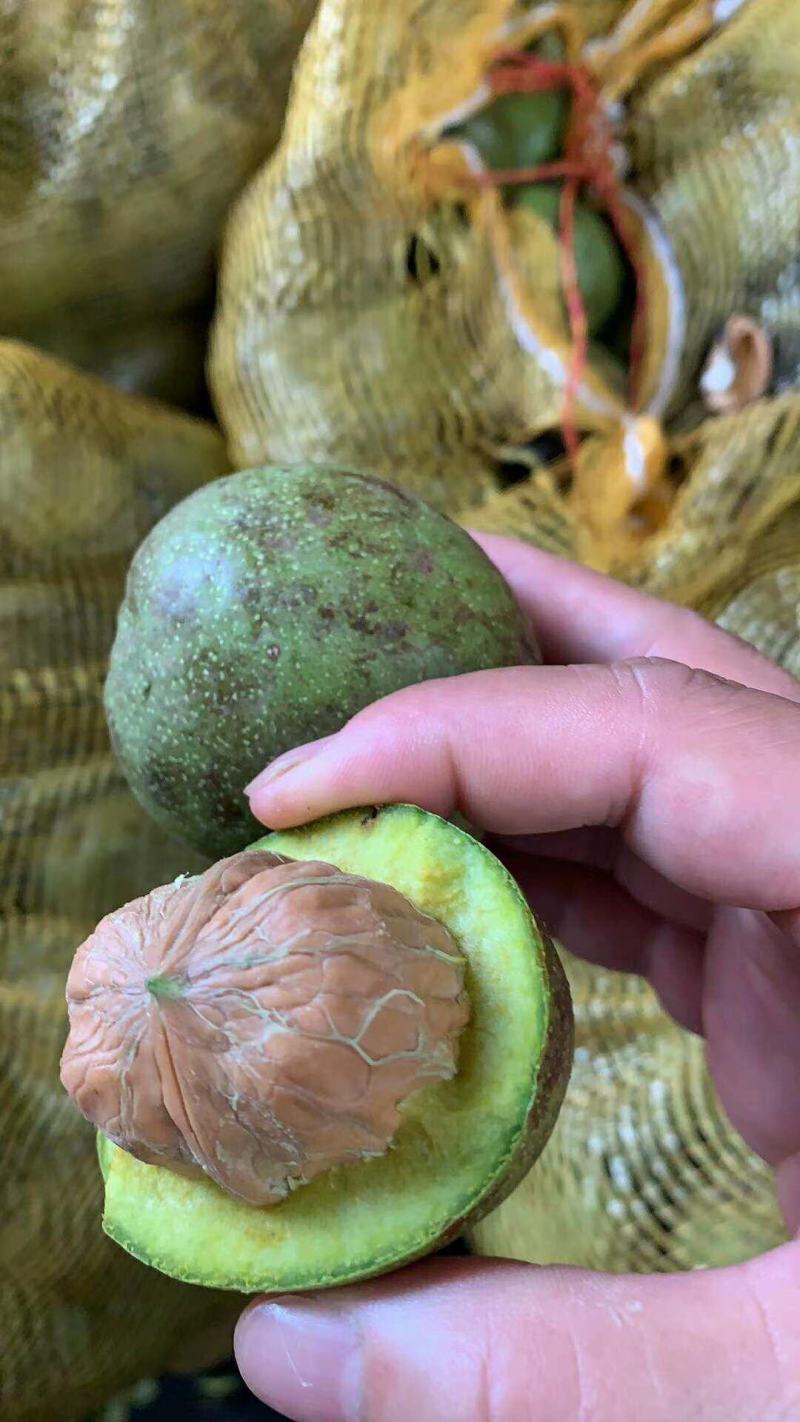 新鲜核桃现货供应下单秒发一手货源价格美丽