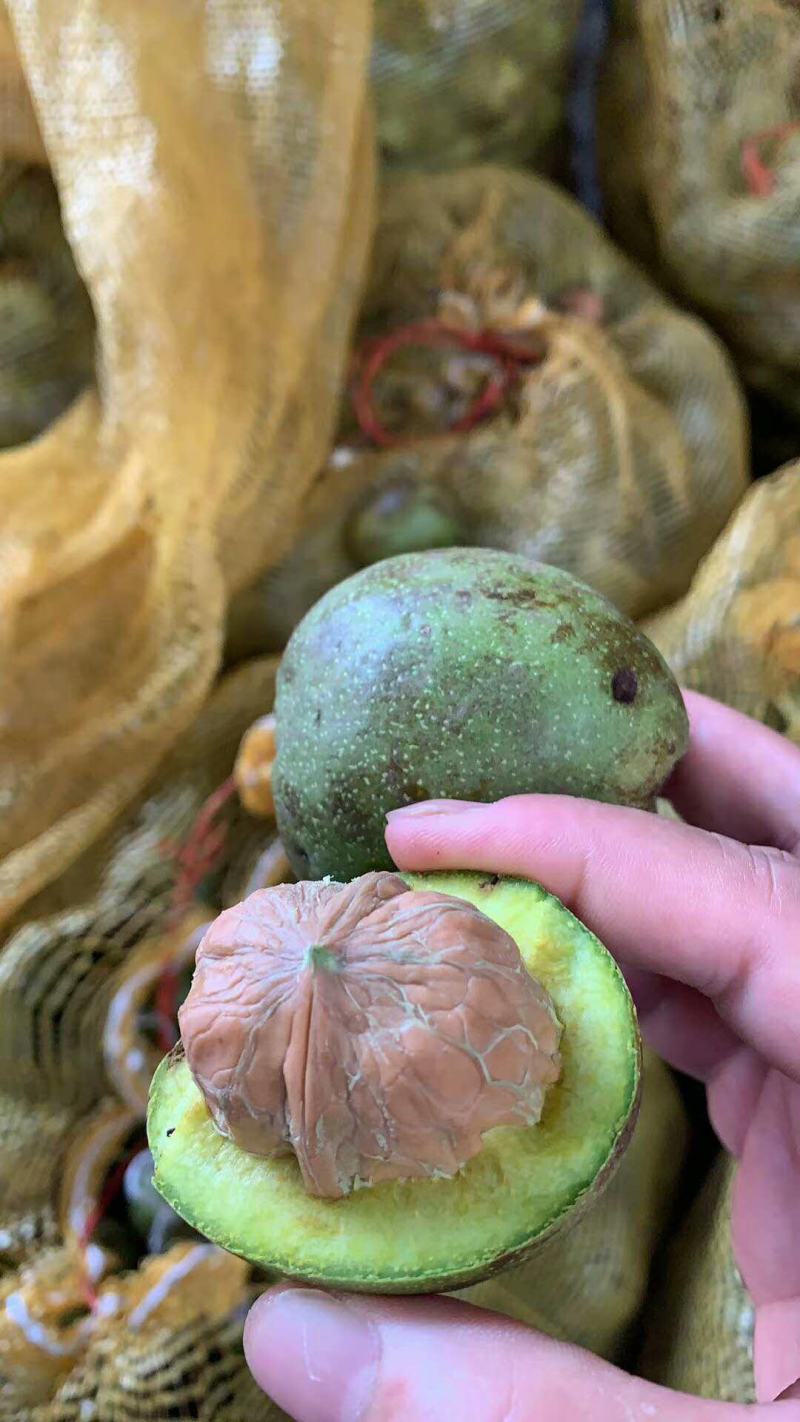 新鲜核桃现货供应下单秒发一手货源价格美丽