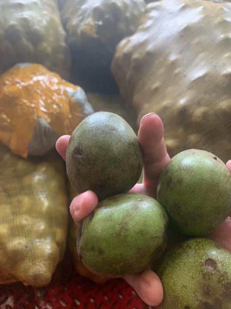 新鲜核桃现货供应下单秒发一手货源价格美丽