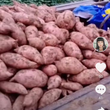 龙久开始上市了，欢迎你们来购