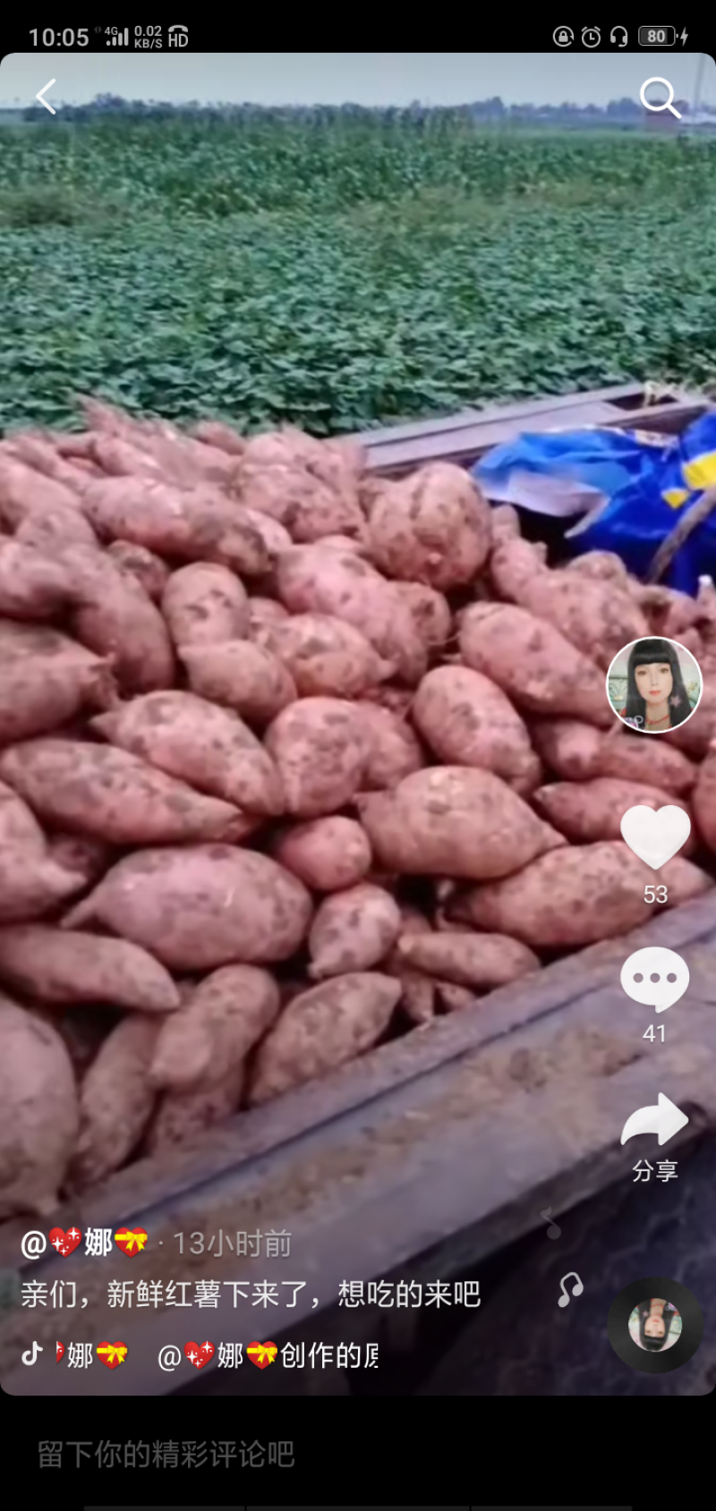 龙久开始上市了，欢迎你们来购