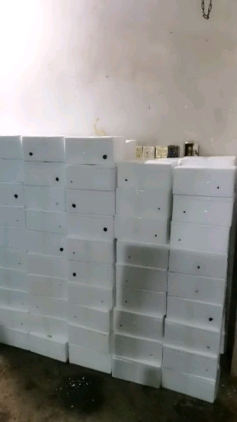 精品美人蕉，红香蕉，产地一手货源，接团购，一件代发
