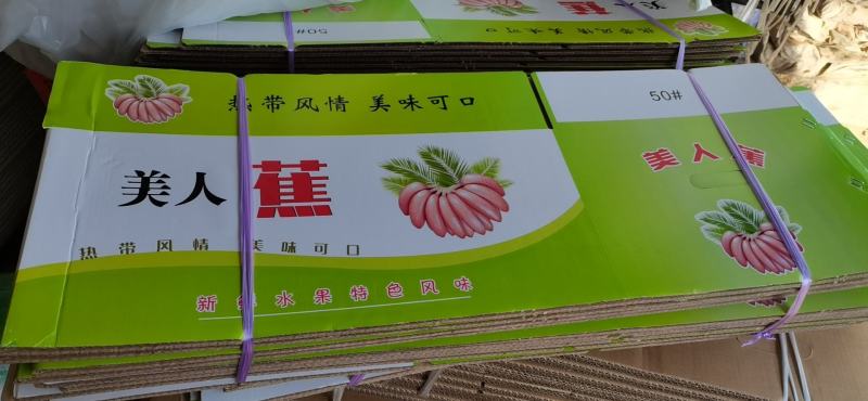 精品美人蕉，红香蕉，产地一手货源，接团购，一件代发