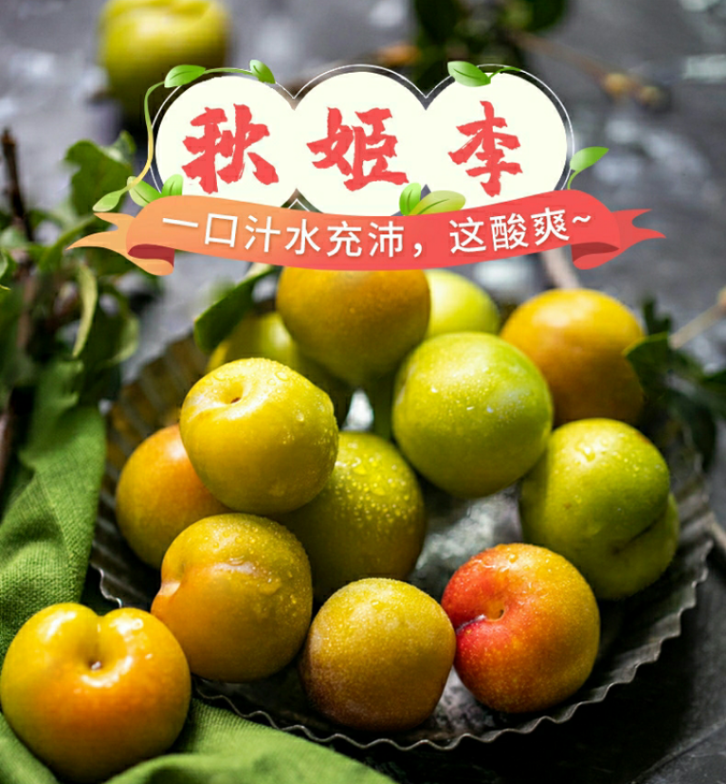 【有好货】秋姬李周至李子酸甜可口今年量少，预订火热