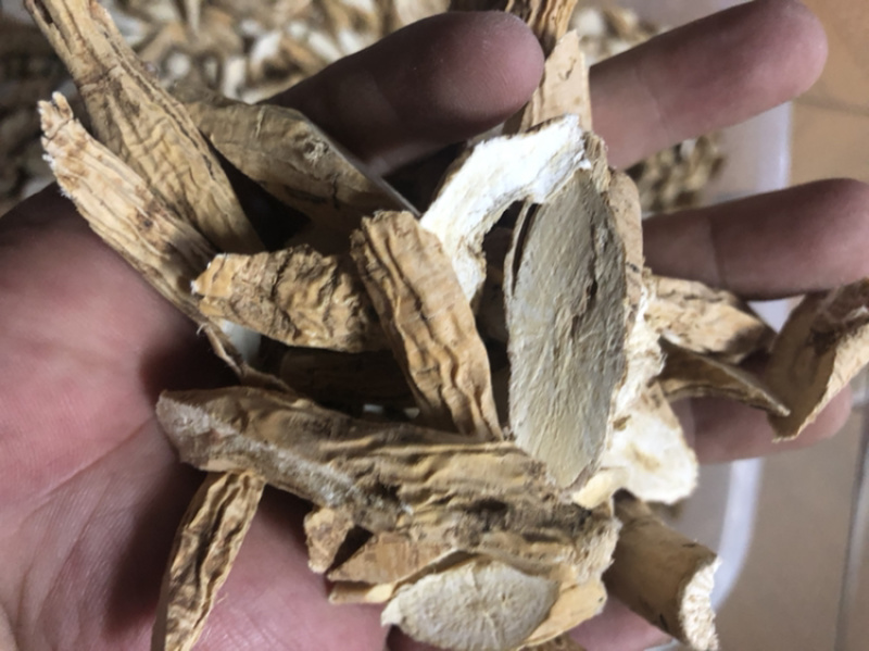 特级全粉牛大力（中）条条精选，条条爆粉，无硫磺