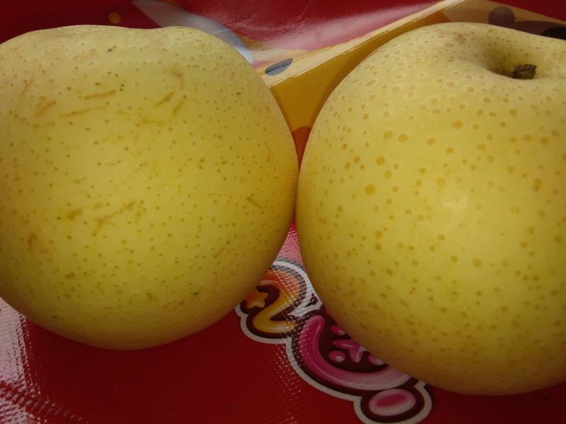 安徽砀山皇冠梨酥梨…