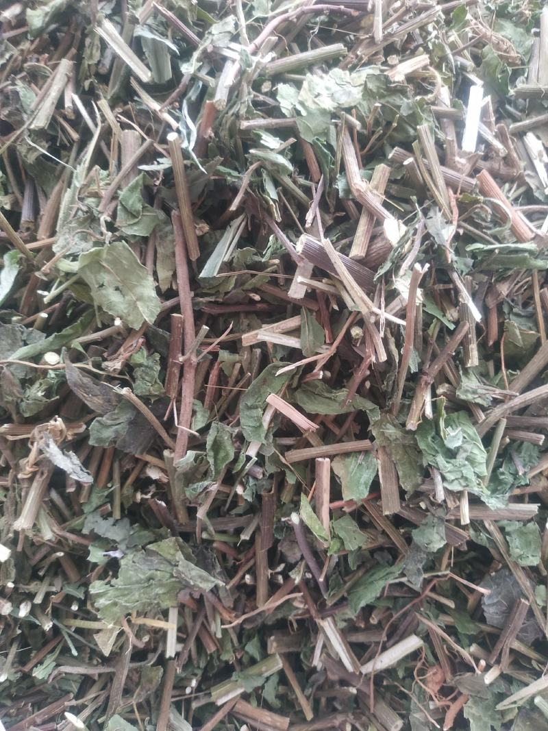 千里光～新货～药厂货～质量好，欢迎咨询采购
