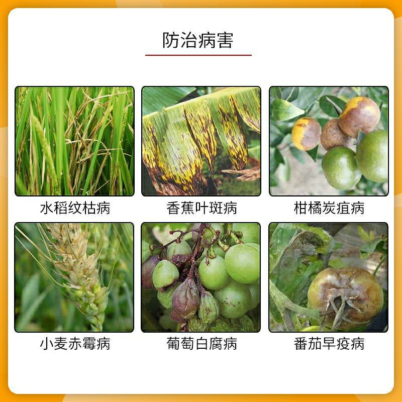 进口德国拜耳杀菌剂肟菌戊唑醇瓜果蔬菜白粉病叶斑病拿敌稳
