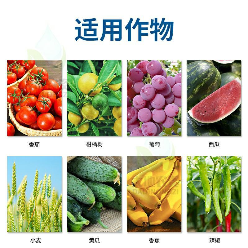 进口德国拜耳杀菌剂肟菌戊唑醇瓜果蔬菜白粉病叶斑病拿敌稳
