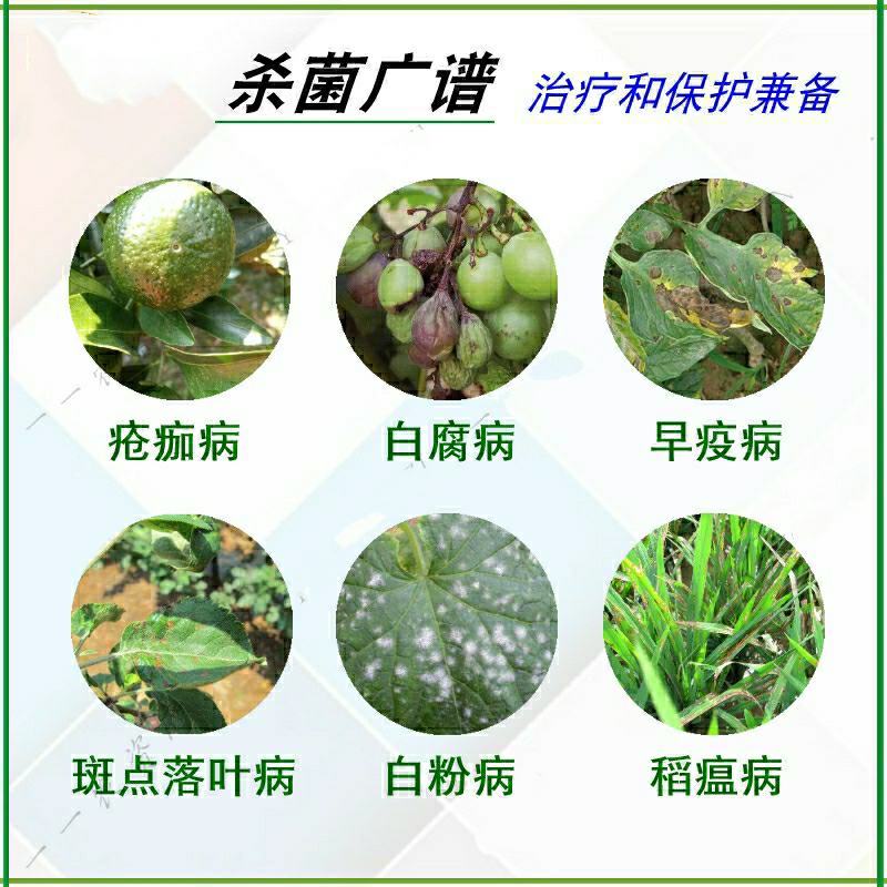进口德国拜耳杀菌剂肟菌戊唑醇瓜果蔬菜白粉病叶斑病拿敌稳
