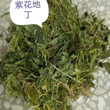 中药材，，，，，紫花地丁