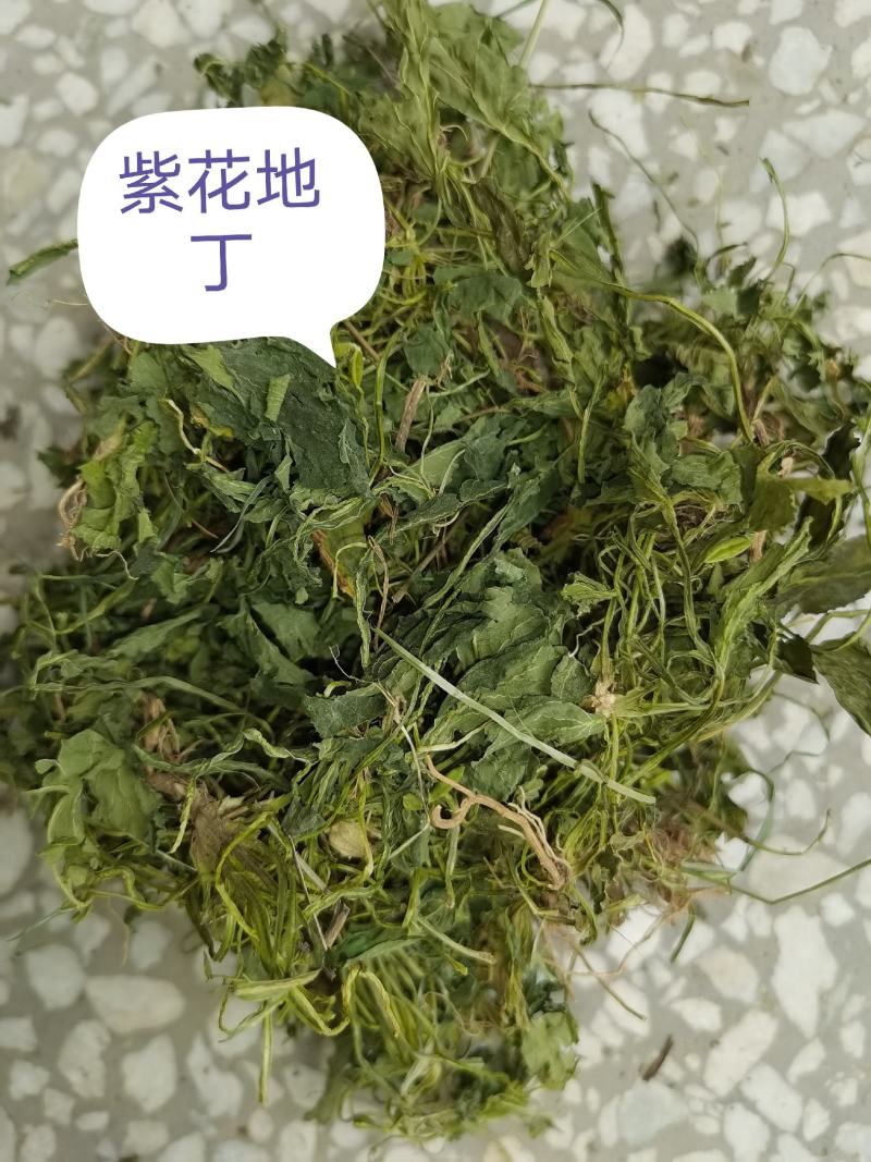 中药材，，，，，紫花地丁