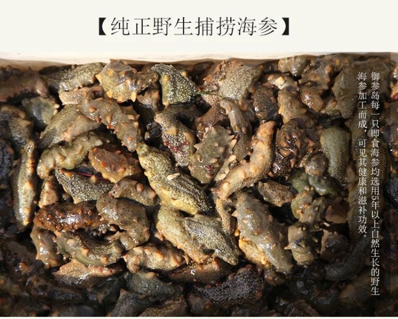 海参深海海参海参自然生长^_^^_^^_^^_^