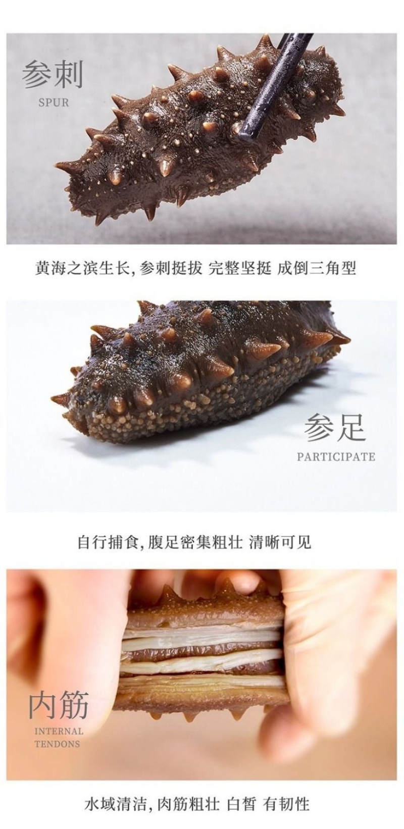 海参深海海参海参自然生长^_^^_^^_^^_^