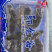 海参深海海参海参自然生长^_^^_^^_^^_^