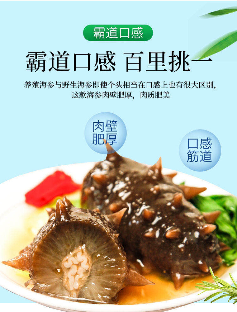 海参深海海参海参自然生长^_^^_^^_^^_^
