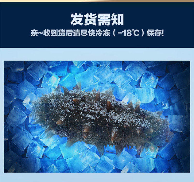 海参深海海参海参自然生长^_^^_^^_^^_^