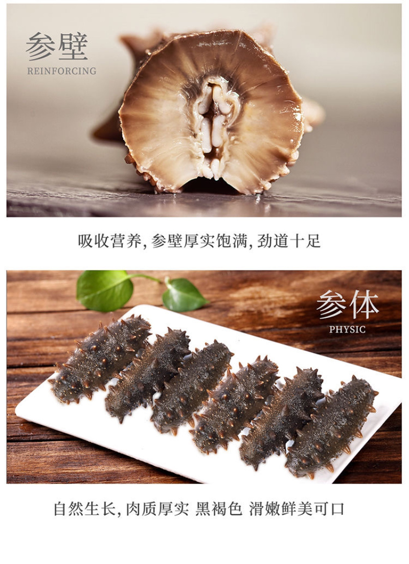 海参深海海参海参自然生长^_^^_^^_^^_^