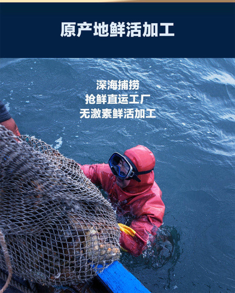海参深海海参海参自然生长^_^^_^^_^^_^
